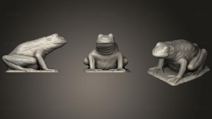 3D модель Превращающиеся лягушки (STL)